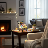 Bulldog français brillant