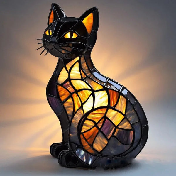 Chat nocturne éblouissant