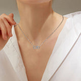 Collier en Argent Infini pour Animaux de Compagnie Toujours Connectés