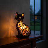Éblouissant chat nocturne