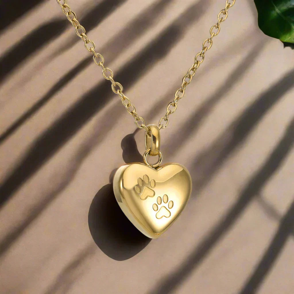Pendentif avec Mémorial de Pattes et Cœur – Pendentif d'Urne en Acier Inoxydable