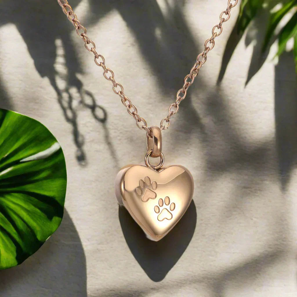 Pendentif avec Mémorial de Pattes et Cœur – Pendentif d'Urne en Acier Inoxydable